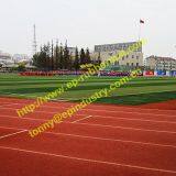 Landscape Artificial Grass From Qingdao Singreat in Chinese(evergreen Properity) thumbnail-4