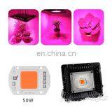 AC 220V Full Spectrum Indoor Plant Growth Lamp COB LED Grow Light Chip 50W thumbnail-7
