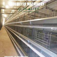 Layer Chicken Battery Cage Automatic Equipment thumbnail-5
