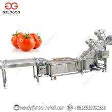 Complete Ketchup Production Line Tomato Sauce Manufacturing Plant Cost Tomato Paste Processing Line Tomato Puree Processing Plant