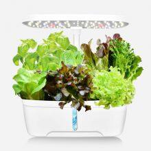 6-hole Full-spectrum Led Vegetable Growth Lighting Lamp for Soilless Cultivation of Household Plants, Intelligent Hydroponic Planter thumbnail-2