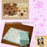 Pet Training Pad thumbnail-1