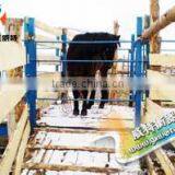 Digital Livestock Scale for Sale
