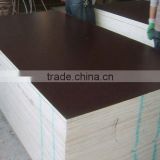 black film faced plywood construction plywood hot sale