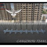 Niusance Bird Control Stainless Steel Bird Spike---TLD5003W5-33