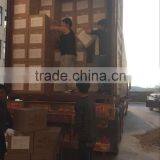 Projector Floor Stand Adjustable Projector Stand thumbnail-6