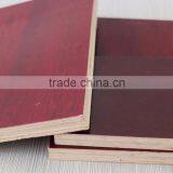Prices for Construction Plywood thumbnail-1