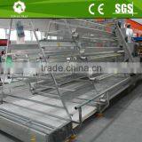 3 Tier A Type Ladder Chicken Cages for Layers With pp Belt Manure Removal System thumbnail-2