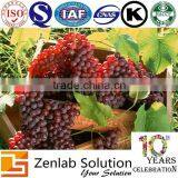 Anti Wrinkle Grape Seed Extract thumbnail-5