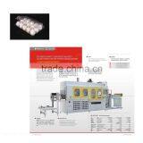 2016 China Egg Tray Forming Machine thumbnail-1