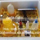 Small Size Drinker for Chickens Hotsale in Russia (lydia Chang : 0086.15965977837) thumbnail-5