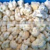 Frozen Cauliflower thumbnail-5