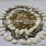 Popular Products Chinese Sunflower Seeds 5009 Long Shape
