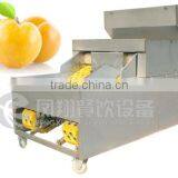 High Quality Plum Stoner, Plum Pitter, Plum Corer With CE Certificated thumbnail-6