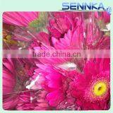 Golden Sun Gerberas Highest Quality Fresh Cut Gerbera Fresh Cut Flower for Sale in Philippines thumbnail-3