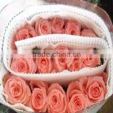 Export Fresh Cut Flowers Roses From China Online thumbnail-1