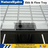 Cheap Hydroponic Plastic Tray for Plants thumbnail-4