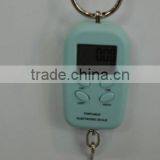 Digital Travel Luggage Scale