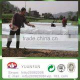 PP no Nwoven Fabric Agriculture Plant Cover,mulch Film