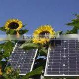 Solar Freezer System 30W thumbnail-5