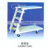 Ladder Trolley