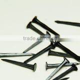Cheap Price Wire Nails Shoe Nails Blue Tack Nails thumbnail-4