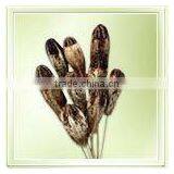 Mehogony Centre On Stem thumbnail-1