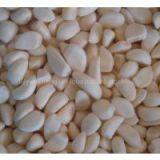 Frozen Garlic thumbnail-1