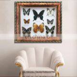 Butterfly in Wooden Frame for Collection and Gifts thumbnail-1