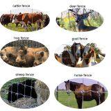 HIGH QUALITY FIXED KNOT FENCE thumbnail-2