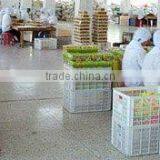 Beijing Soonercleaning Technology Co., Ltd. company overview - view 1 thumbnail