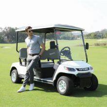 Global Sales of Golf Carts, Electric Sightseeing Vehicles, and Electric Trucks thumbnail-4