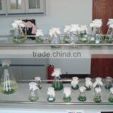 Buyers Of Spirulina,Dry Green Seaweed thumbnail-2