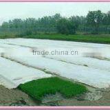 Non-woven Frost Protection Fleece thumbnail-3