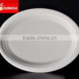 Food Grade Tableware Bagasse Paper Pulp Disposable Square Plate thumbnail-5