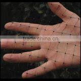 Square Bird Control Netting thumbnail-3