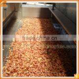 Industrial Roasters, Peanut Roasting, Seed Roasting, Nut Roasting, Peanut Roasting, Sesame Seed Roasting, Almond Roaster thumbnail-3