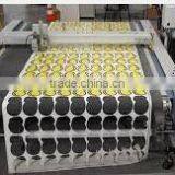 Silicone Release Film for Transfer Labels thumbnail-4