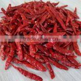 Dried Chili thumbnail-1