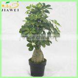 Office Decor Good Quality Artificial Plant