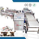 2015 Hot Sale Sterilization Conveyor Packing Line