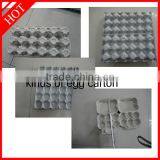 Eggs Tray and Egg Box Making Machine/Recycle Paper Egg Tray Making Machine