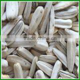 Roasted and Spiced Cheap White Sunflower Seeds With Best Quality for Sale thumbnail-4