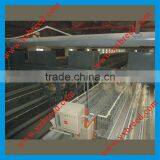 Automatic Chicken Feeding Equipment for Farms