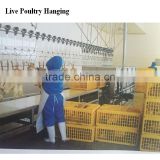 Live Poultry Hanging & Electric Numb Machine