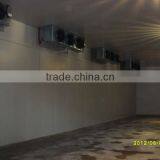 Hot Sale Cold Room for Poultry thumbnail-1