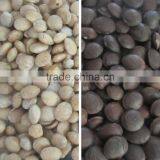 ZRWS Ccd Cereal Nut Color Sorter Supplier With Competitive Price thumbnail-4