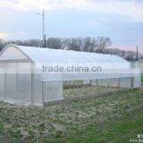 Simple Structure Tunnel Greenhouse For Vegetables/Flowers/Fruits thumbnail-2