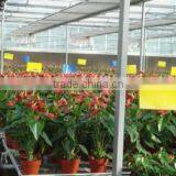 Greenhouse Kits- 2 thumbnail-2