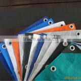Polyethylene Woven Fabric,Printed and Waterproof PE Plastic Sheets thumbnail-1